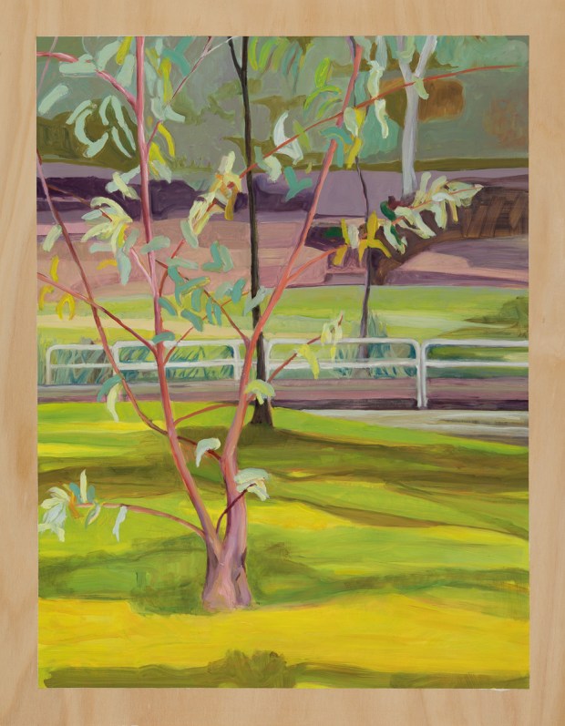 Brightscape with twin tree 2014 Oil on plywood 76cm x 59cm 